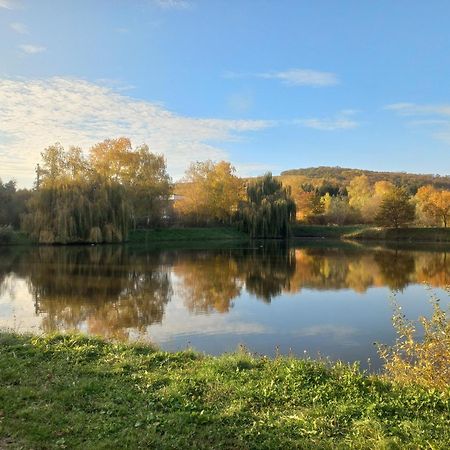 Penzion Ve Vinohrade Němčičky エクステリア 写真