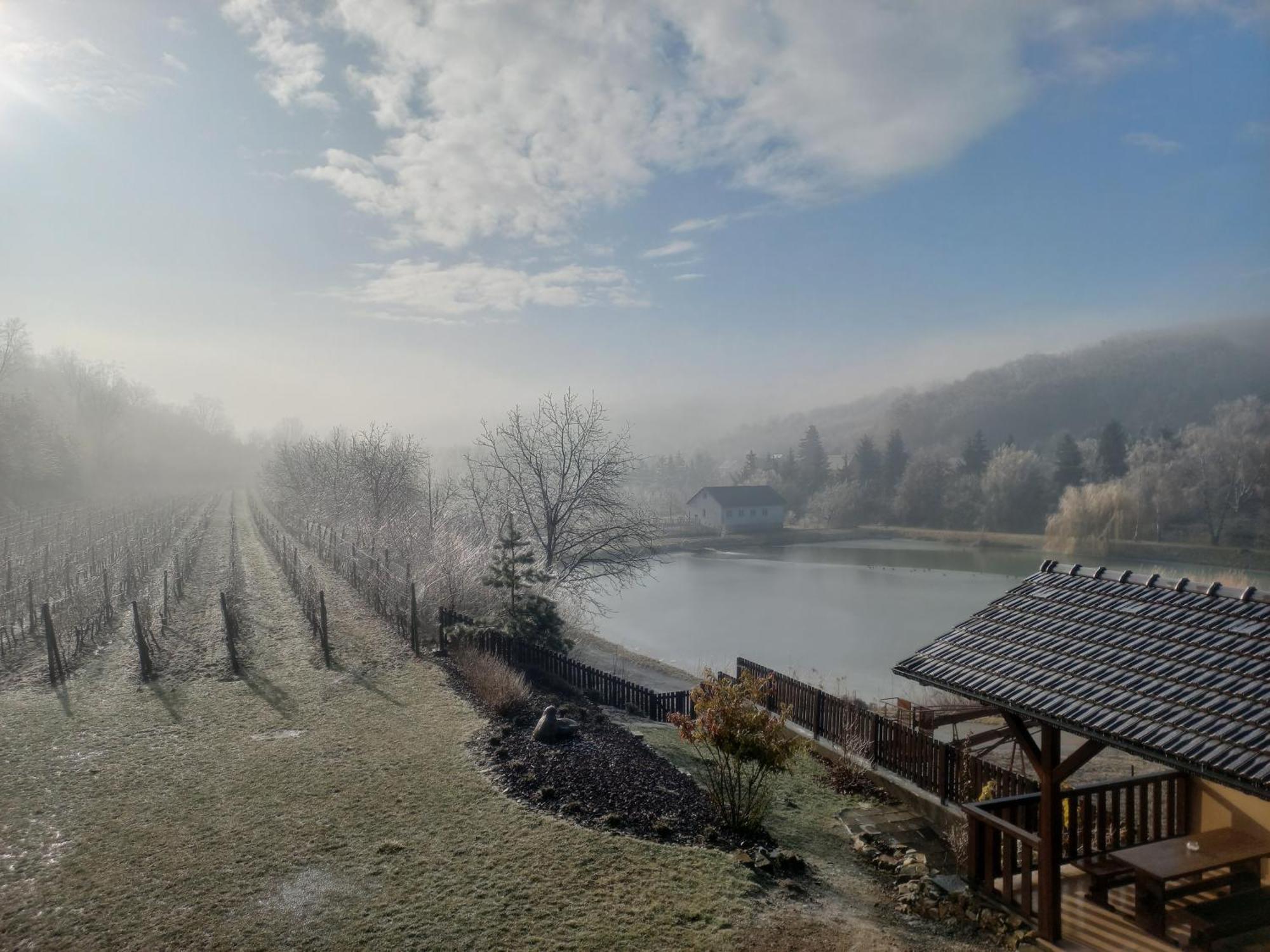 Penzion Ve Vinohrade Němčičky エクステリア 写真