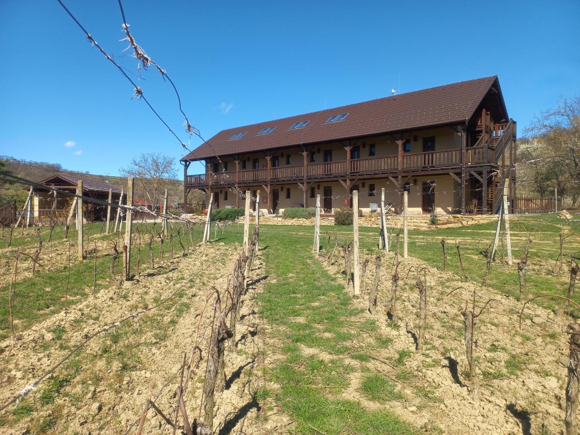Penzion Ve Vinohrade Němčičky エクステリア 写真