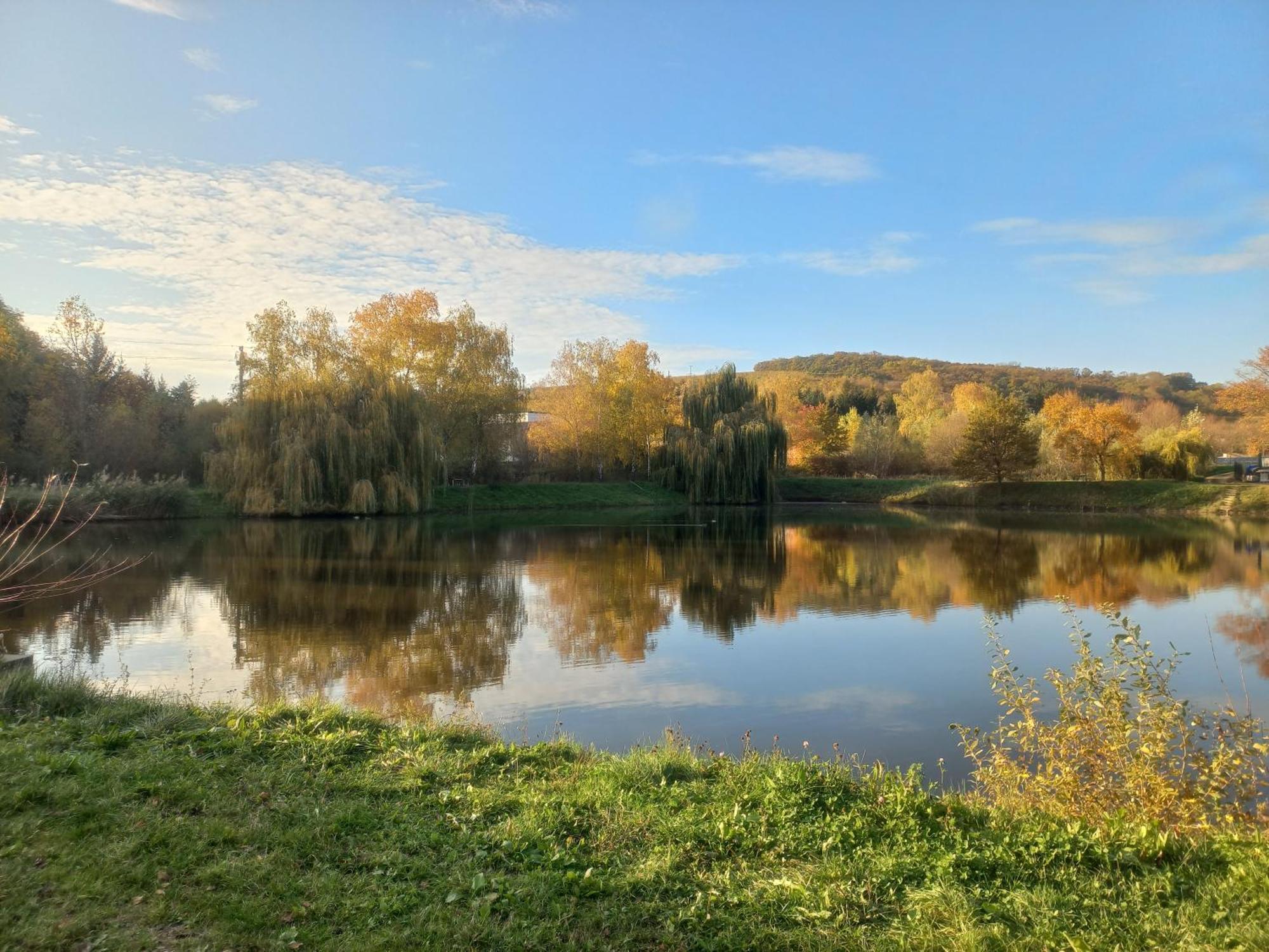 Penzion Ve Vinohrade Němčičky エクステリア 写真