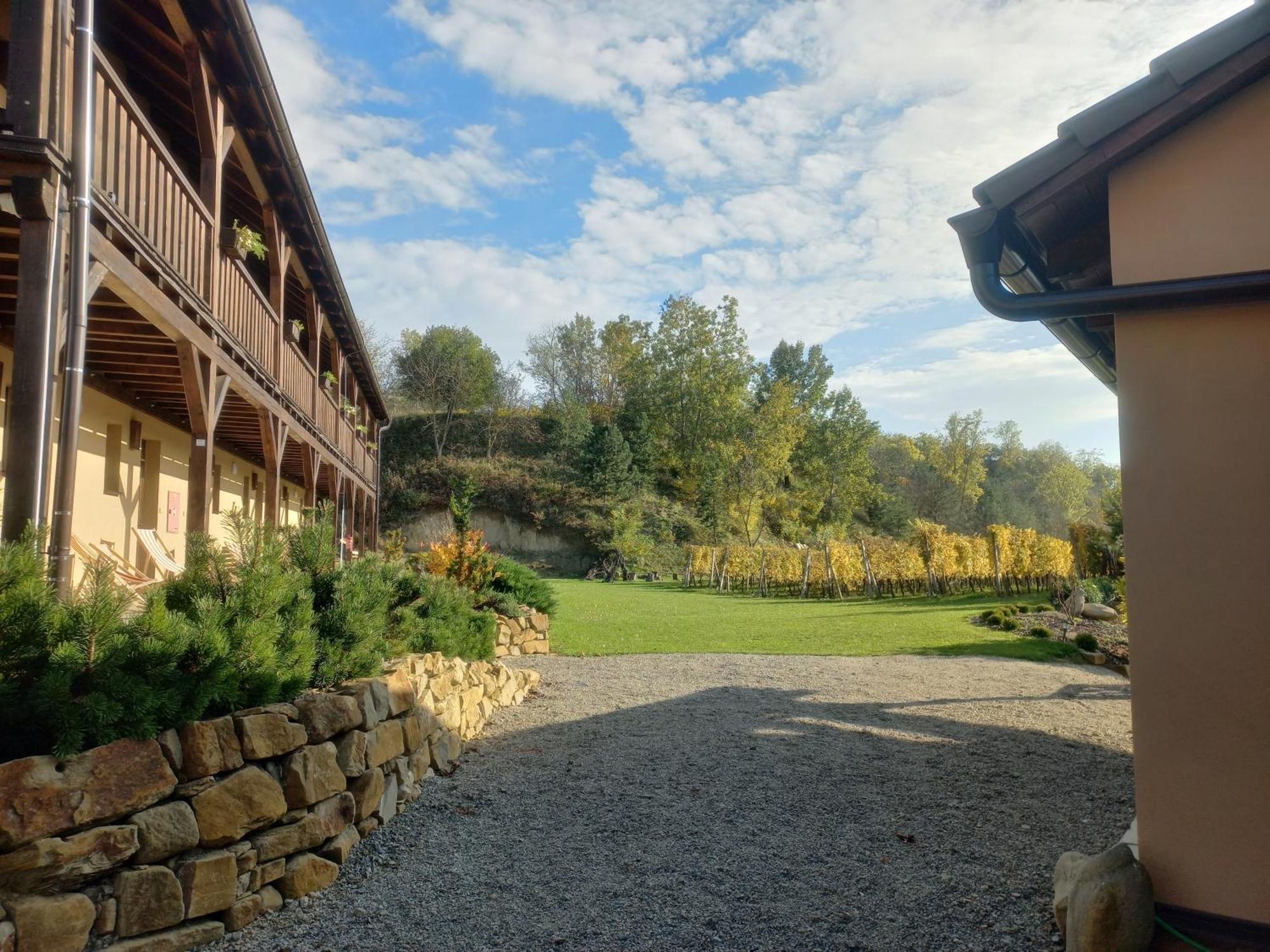 Penzion Ve Vinohrade Němčičky エクステリア 写真